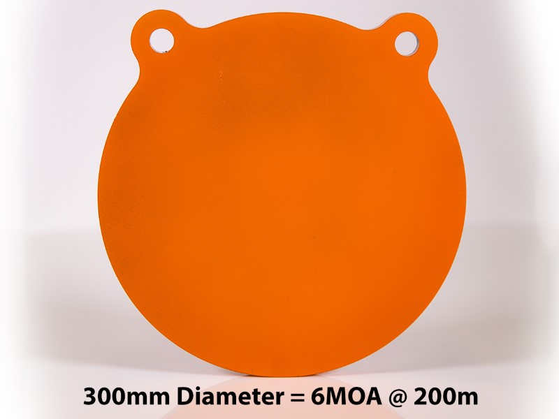 Steel Gongs 300mm